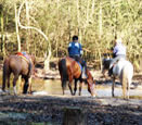 Rutas a Caballo